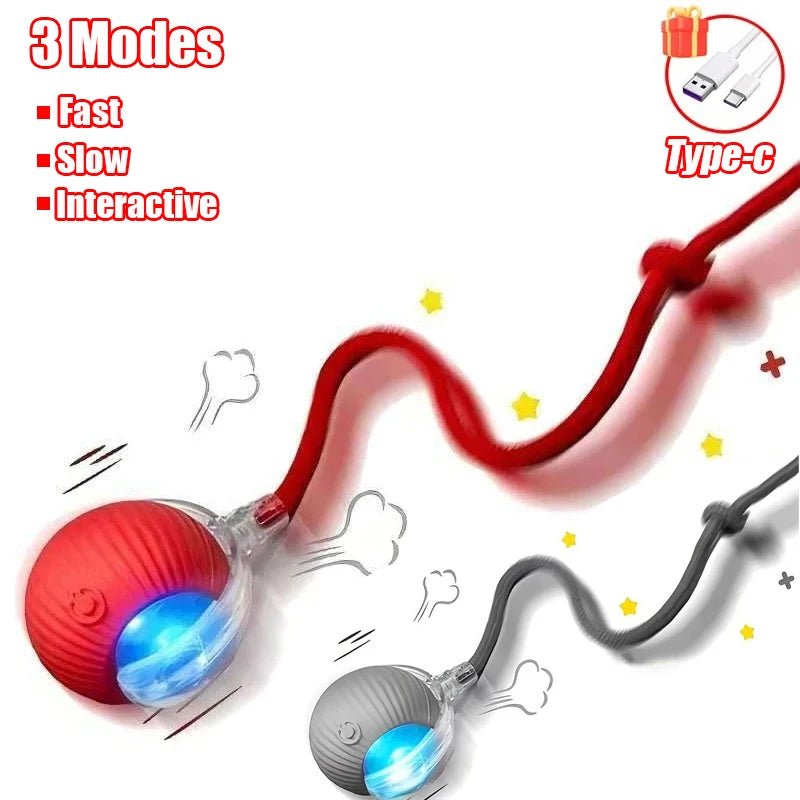 Rechargeable Rolling Cat Ball Toy - Faux Tail Interactive Teaser for Cats