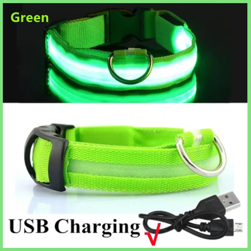 USB LED Dog Collar - Rechargeable Luminous Safety Collar for Night Walks
