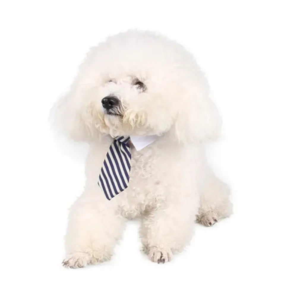Formal Pet Bow Tie Collar - Adjustable Neck Tie for Small Dogs & Cats