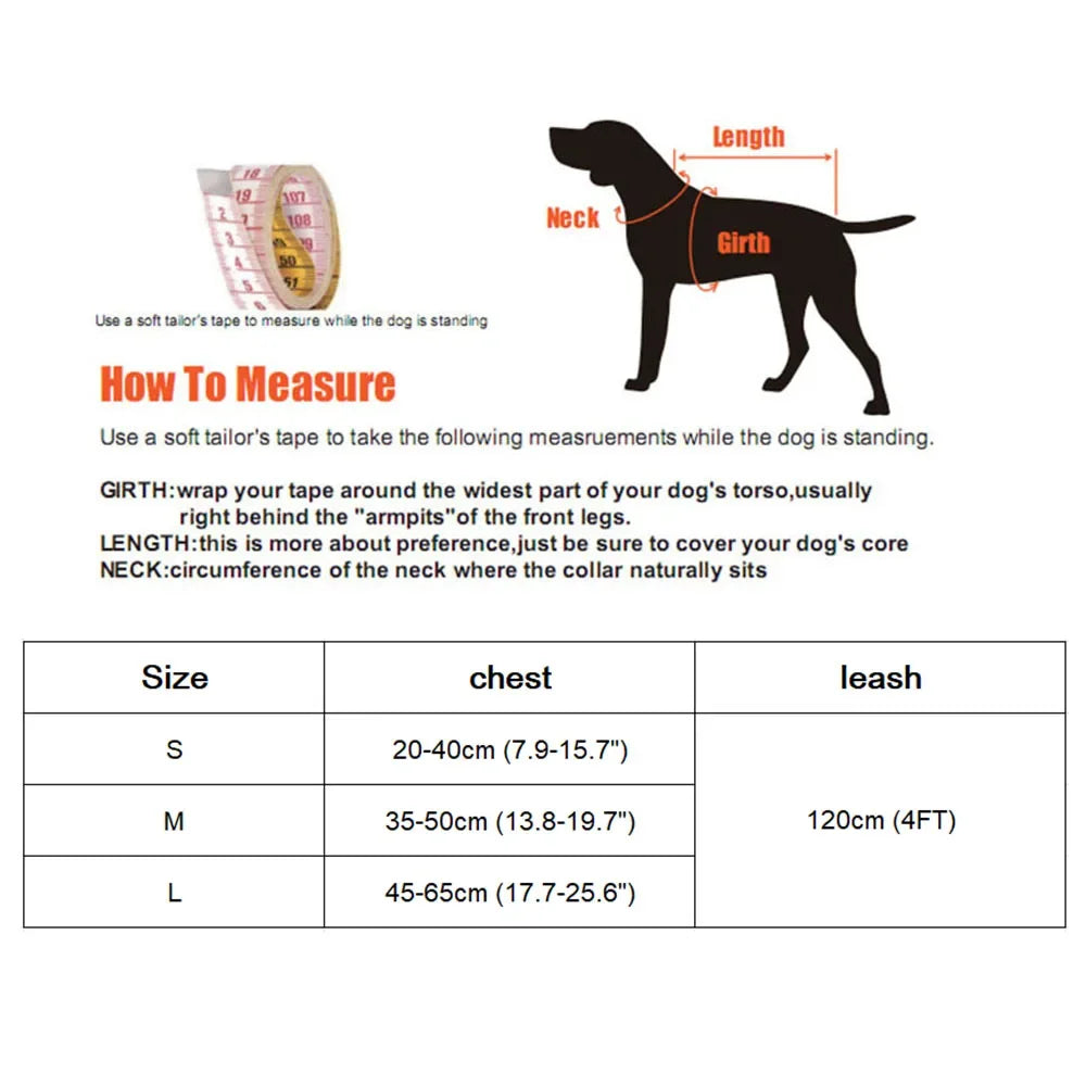 Breathable Mesh Pet Harness Set - Adjustable Leash Vest for Small Dogs & Cats