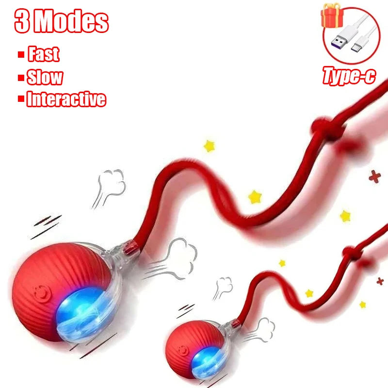Rechargeable Rolling Cat Ball Toy - Faux Tail Interactive Teaser for Cats