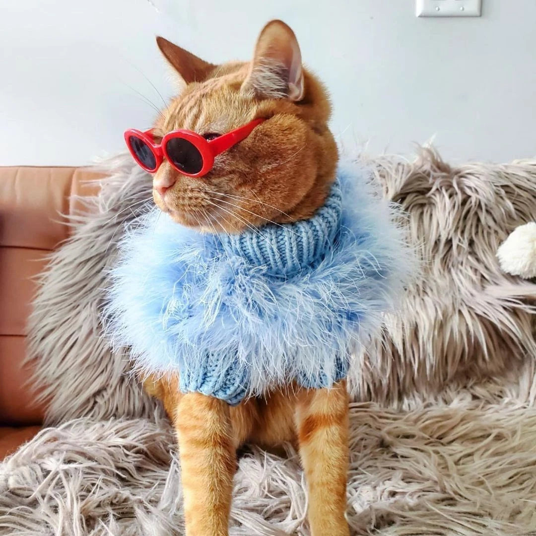 Fluffy Party Dog Sweater - Soft Warm Pet Knit for Autumn & Winter Style
