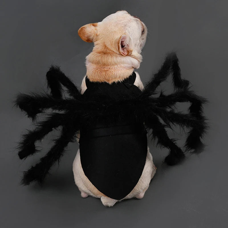 Halloween Spider Pet Costume - Funny Cosplay Outfit for Dogs & Cats