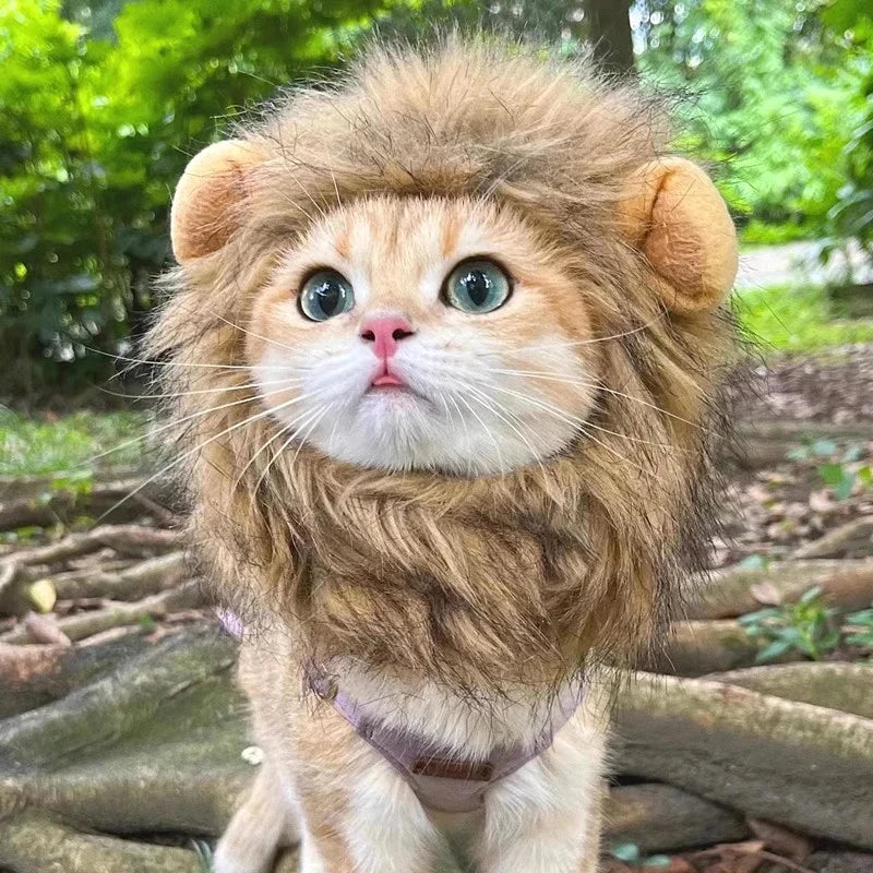 Lion Mane Cat Hat - Cute Pet Headgear for Photos, Parties & Dress-Up