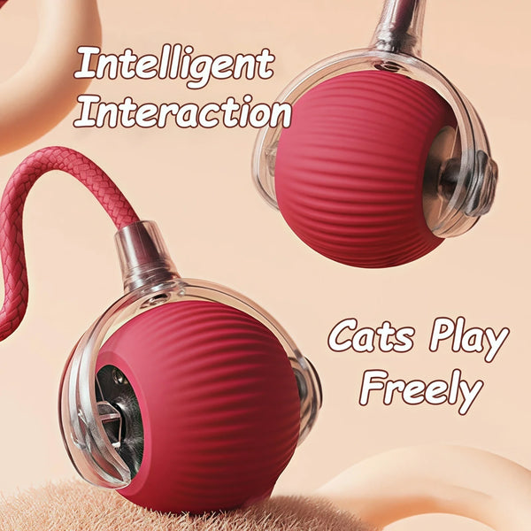 Rechargeable Rolling Cat Ball Toy - Faux Tail Interactive Teaser for Cats