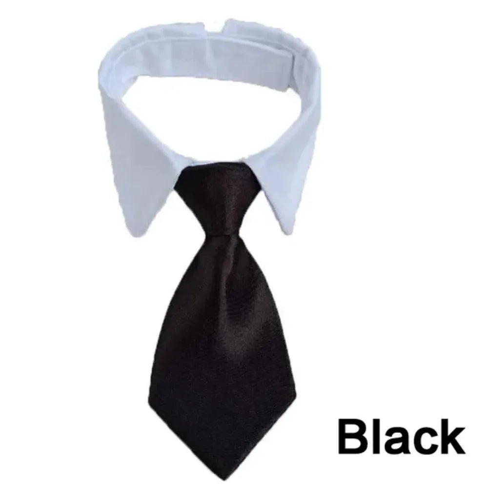 Formal Pet Bow Tie Collar - Adjustable Neck Tie for Small Dogs & Cats