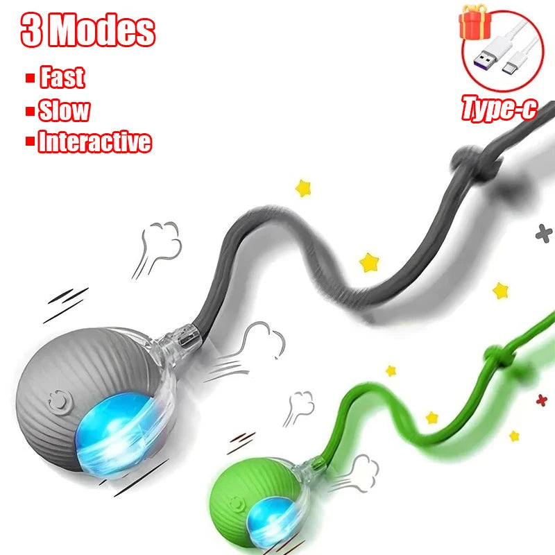 Rechargeable Rolling Cat Ball Toy - Faux Tail Interactive Teaser for Cats
