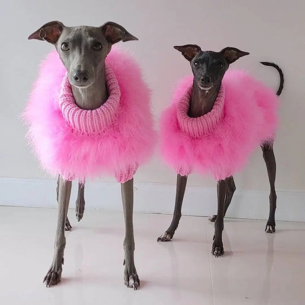 Fluffy Party Dog Sweater - Soft Warm Pet Knit for Autumn & Winter Style