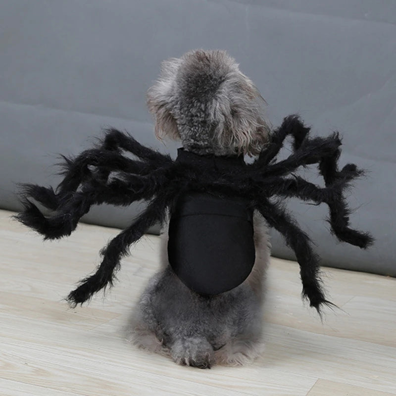 Halloween Spider Pet Costume - Funny Cosplay Outfit for Dogs & Cats
