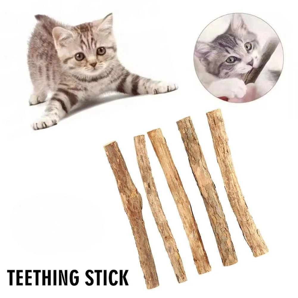 Natural Catnip Chew Sticks - Dental Molar Toys for Cats