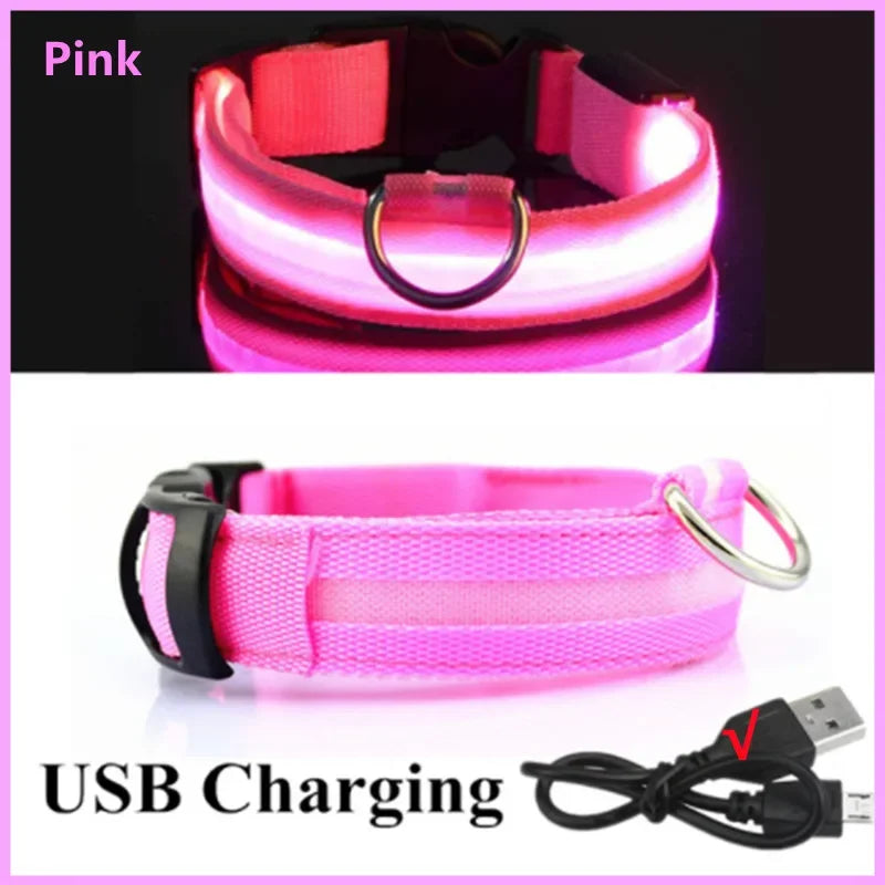 USB LED Dog Collar - Rechargeable Luminous Safety Collar for Night Walks