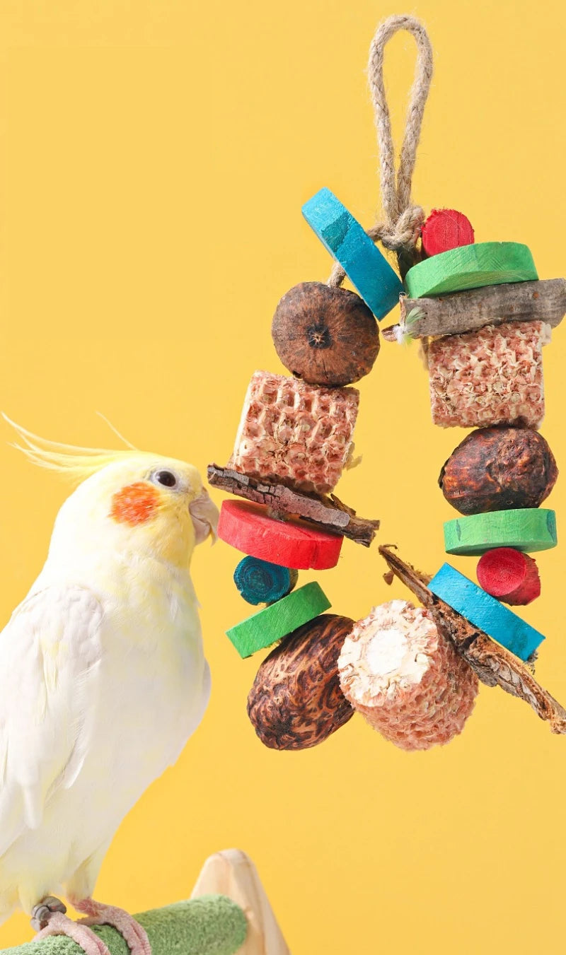 Natural Parrot Chew Toy - Hanging Corn Cob and Wood Bird Toy