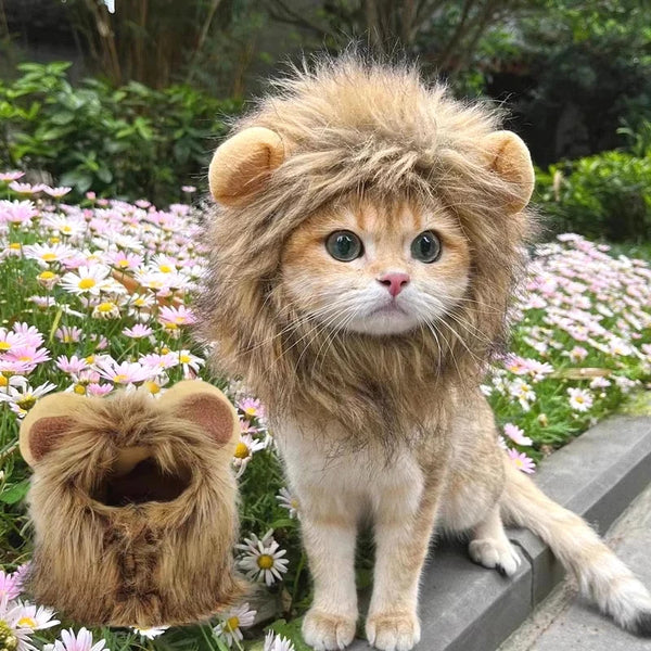 Lion Mane Cat Hat - Cute Pet Headgear for Photos, Parties & Dress-Up