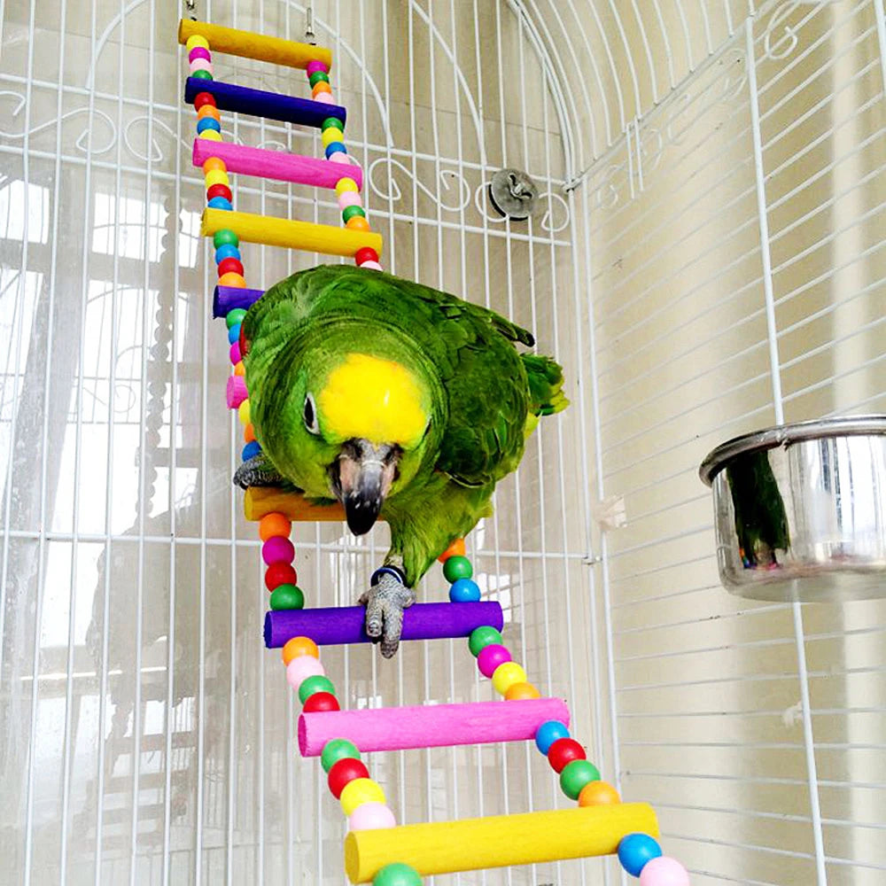Colorful Bird Ladder Bridge - 12-Step Hanging Climbing Toy for Parrots