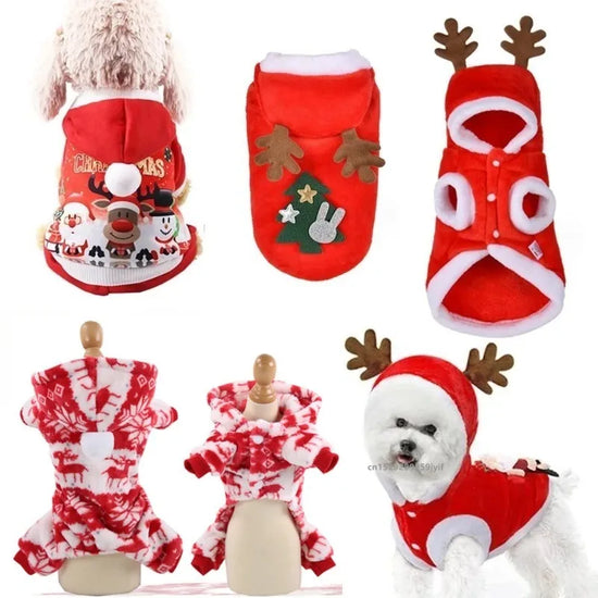 Christmas Santa Pet Costume - Festive Dog Jacket for Holiday Photos & Parties
