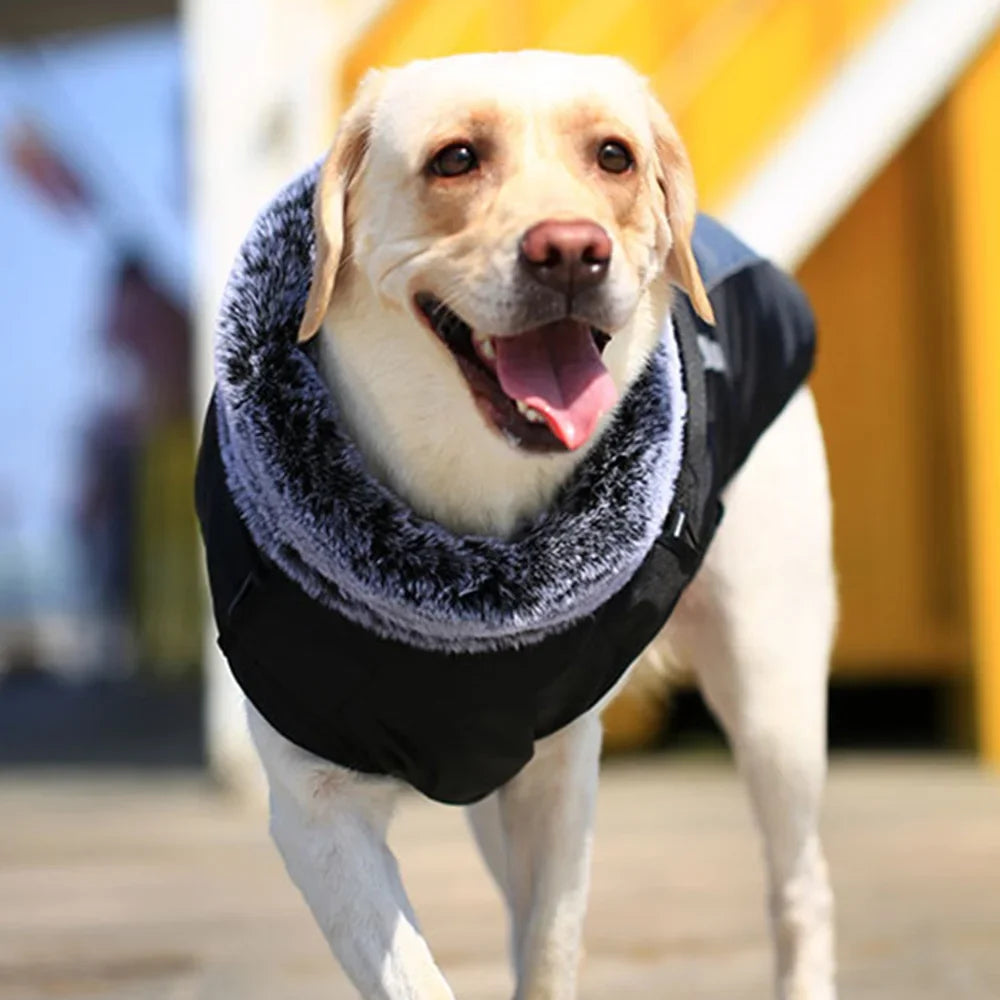 Big Dog Winter Coat with Fur Collar - Thick Warm Jacket for Medium & Large Breeds
