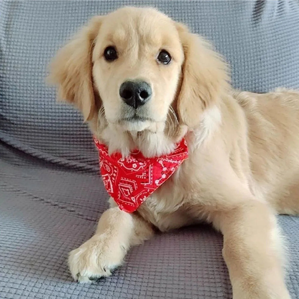 Adjustable Dog Bandana Collar - Stylish Scarf Collar for Dogs & Cats