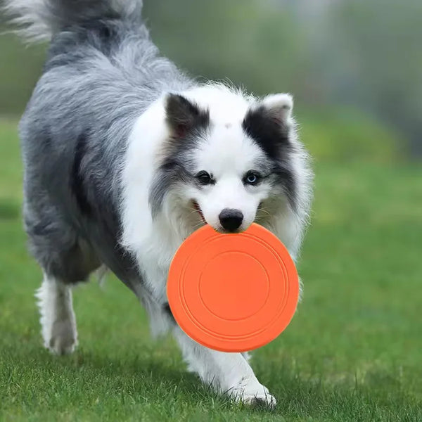Soft Rubber Dog Frisbee - Tear-Resistant Flying Disc for Fetch & Training