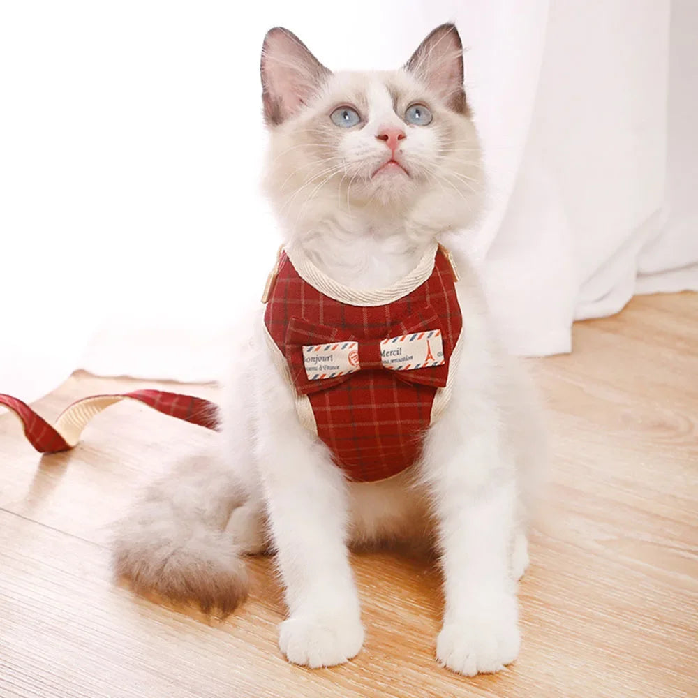 Breathable Mesh Pet Harness Set - Adjustable Leash Vest for Small Dogs & Cats