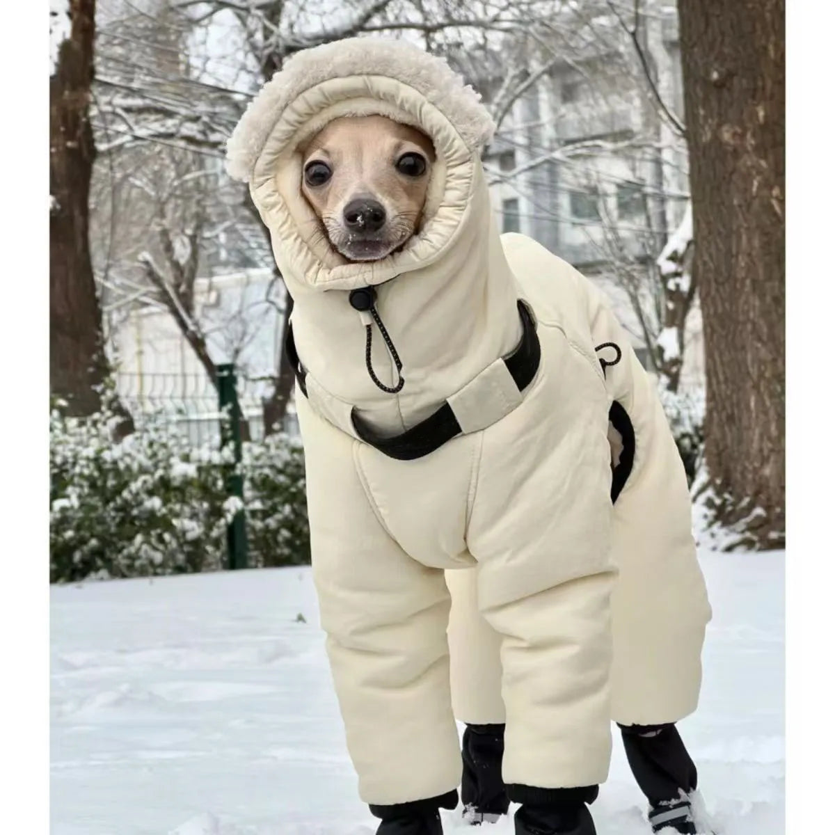Thickened Winter Dog Jacket - Full-Neck Warm Coat for Greyhounds & Large Dogs