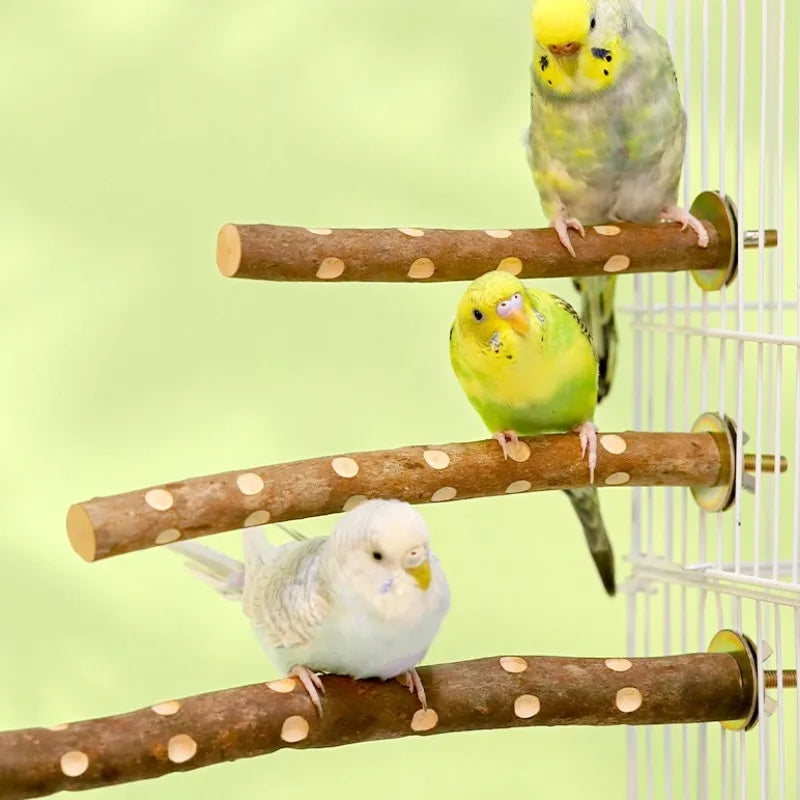 Natural Wood Bird Perch Stand - Branch Grinding Rod for Budgies & Cockatiels