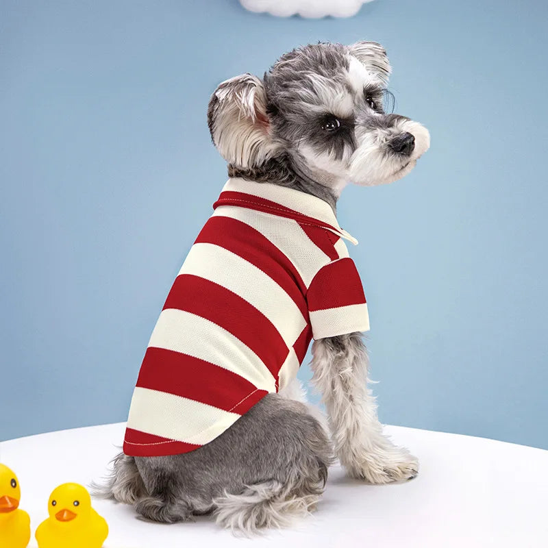 Pet Polo Shirt - Casual Summer T-Shirt for Small & Large Dogs & Cats