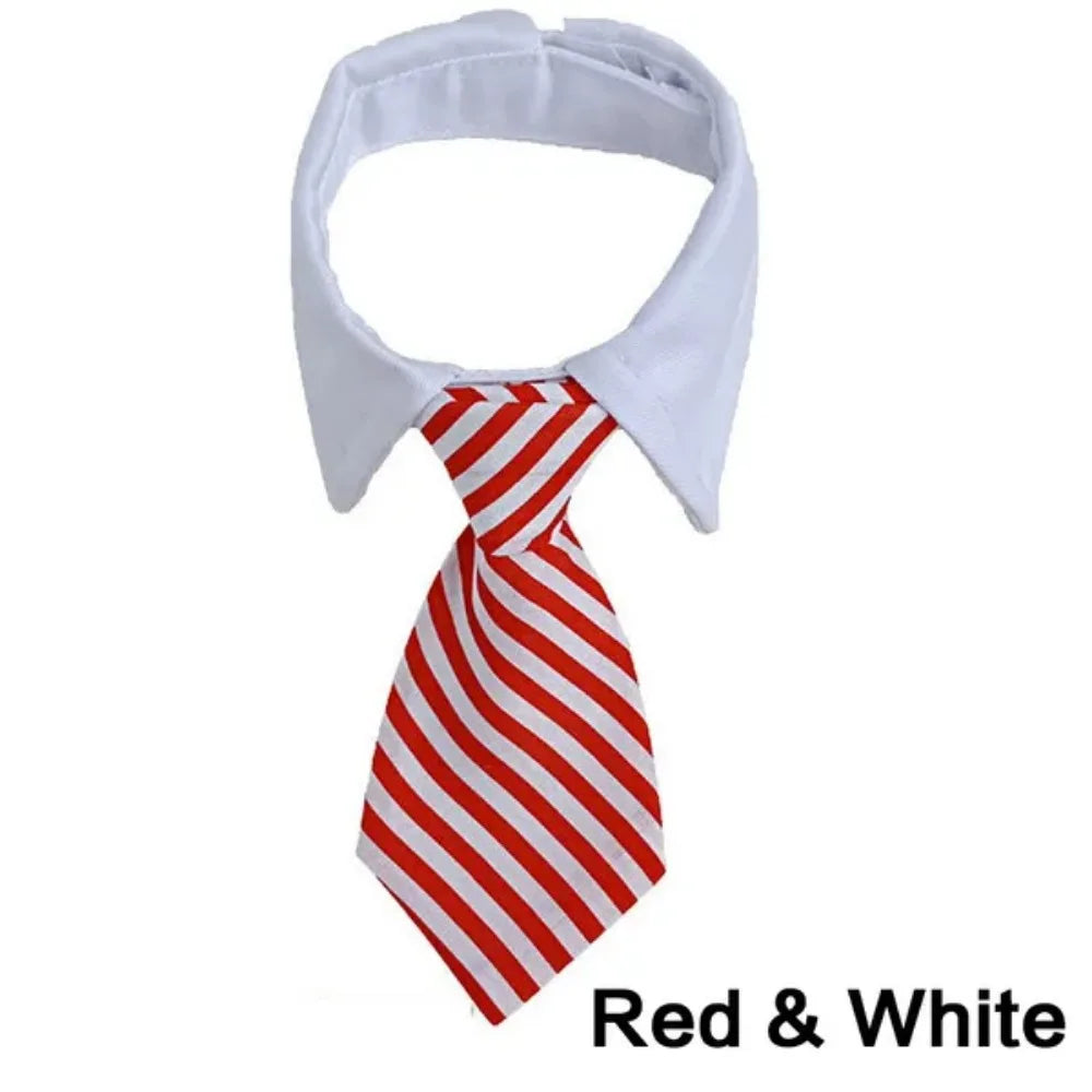 Formal Pet Bow Tie Collar - Adjustable Neck Tie for Small Dogs & Cats