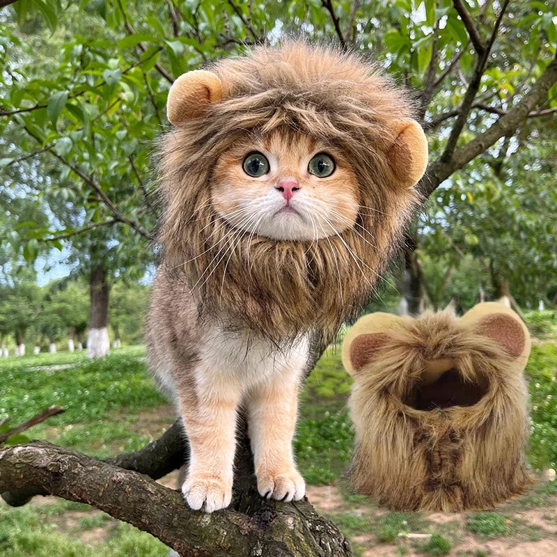 Lion Mane Cat Hat - Cute Pet Headgear for Photos, Parties & Dress-Up