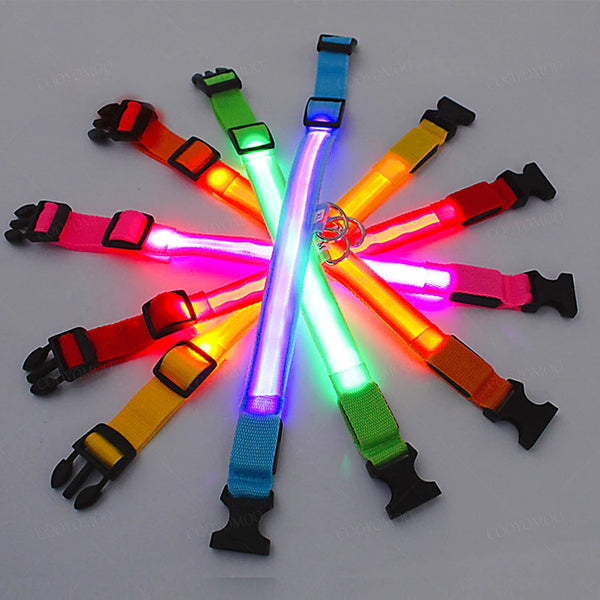 USB LED Dog Collar - Rechargeable Luminous Safety Collar for Night Walks