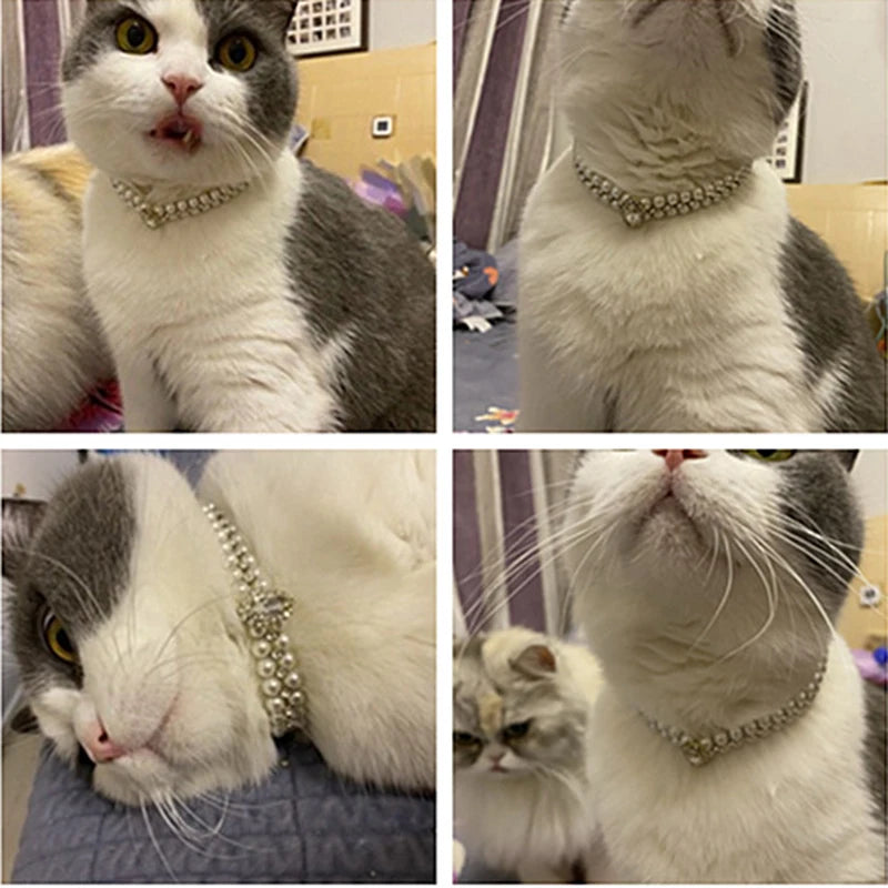Pearl Pet Necklace Collar - Rhinestone Accessory for Cats & Small Dogs