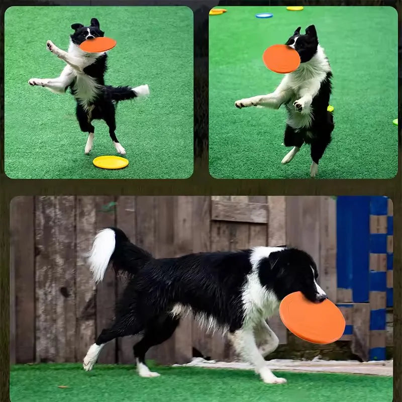 Soft Rubber Dog Frisbee - Tear-Resistant Flying Disc for Fetch & Training