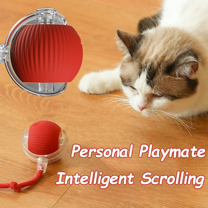 Rechargeable Rolling Cat Ball Toy - Faux Tail Interactive Teaser for Cats