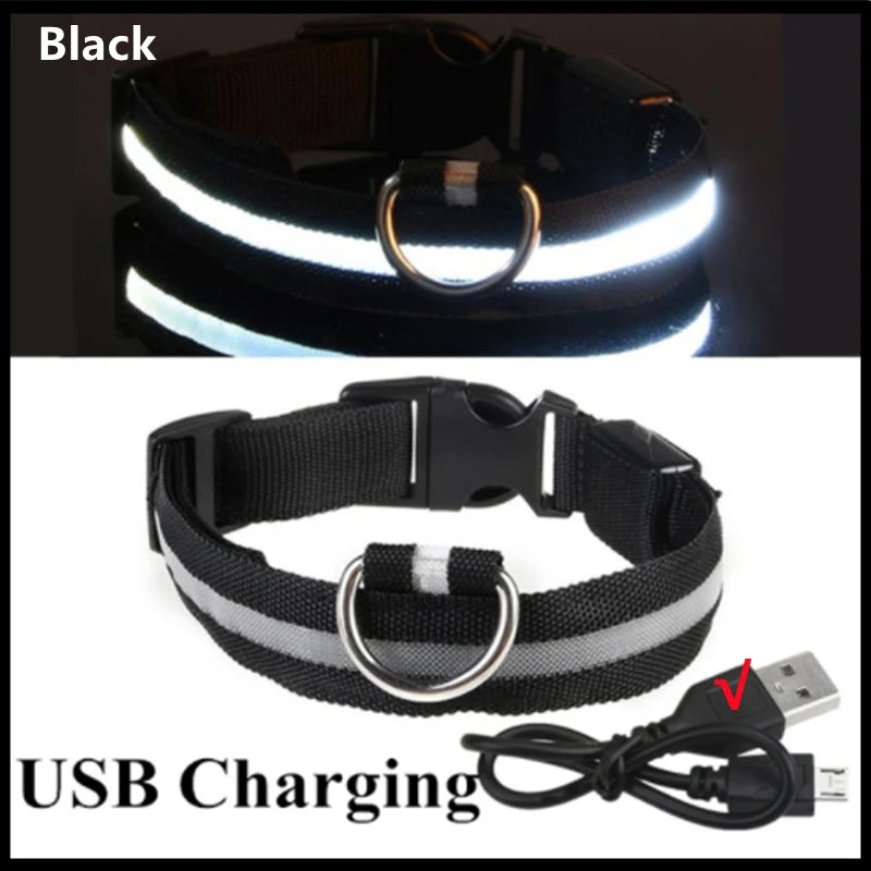USB LED Dog Collar - Rechargeable Luminous Safety Collar for Night Walks