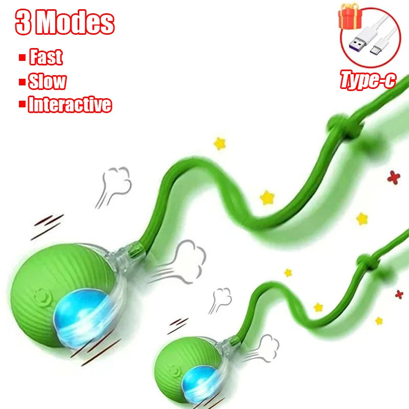 Rechargeable Rolling Cat Ball Toy - Faux Tail Interactive Teaser for Cats