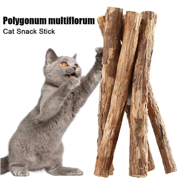Natural Catnip Chew Sticks - Dental Molar Toys for Cats
