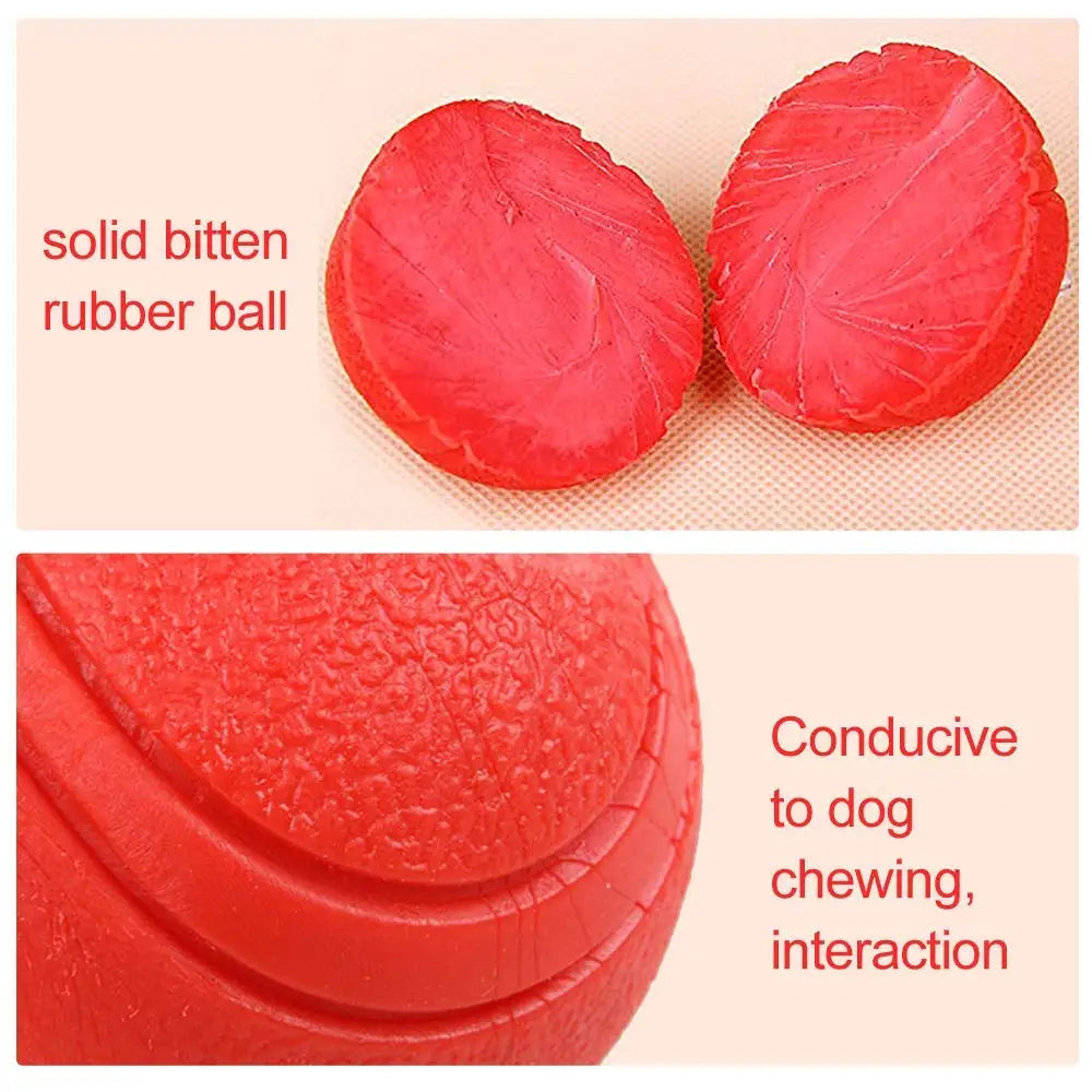 Bite-Resistant Rubber Dog Ball - Durable Interactive Chew Toy for Active Play