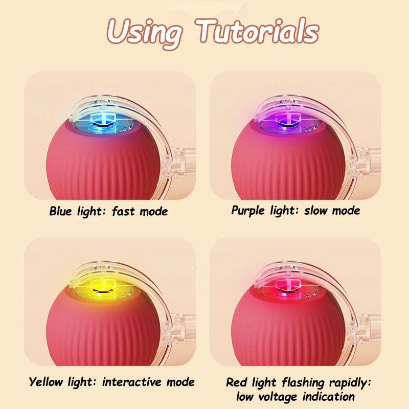 Rechargeable Rolling Cat Ball Toy - Faux Tail Interactive Teaser for Cats