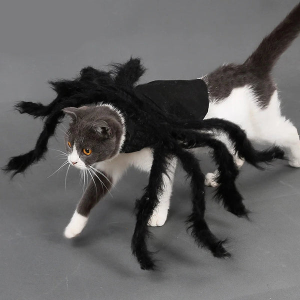 Halloween Spider Pet Costume - Funny Cosplay Outfit for Dogs & Cats