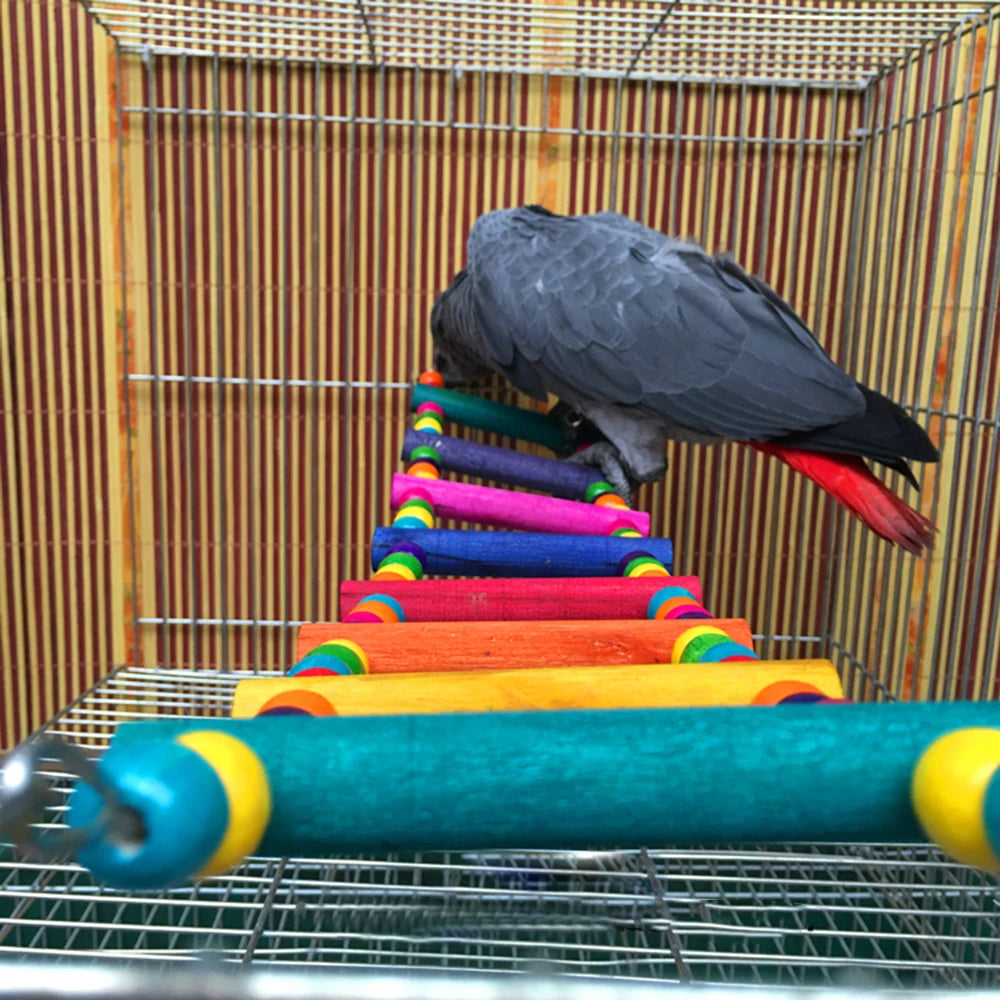 Colorful Bird Ladder Bridge - 12-Step Hanging Climbing Toy for Parrots