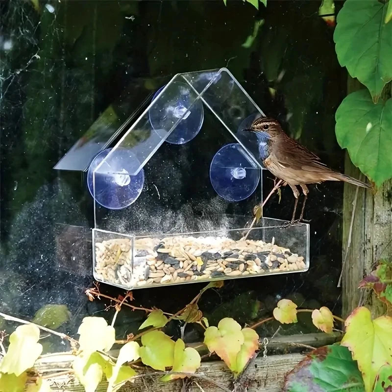 Clear Window Bird Feeder House - Acrylic Outdoor Hanging Feeder