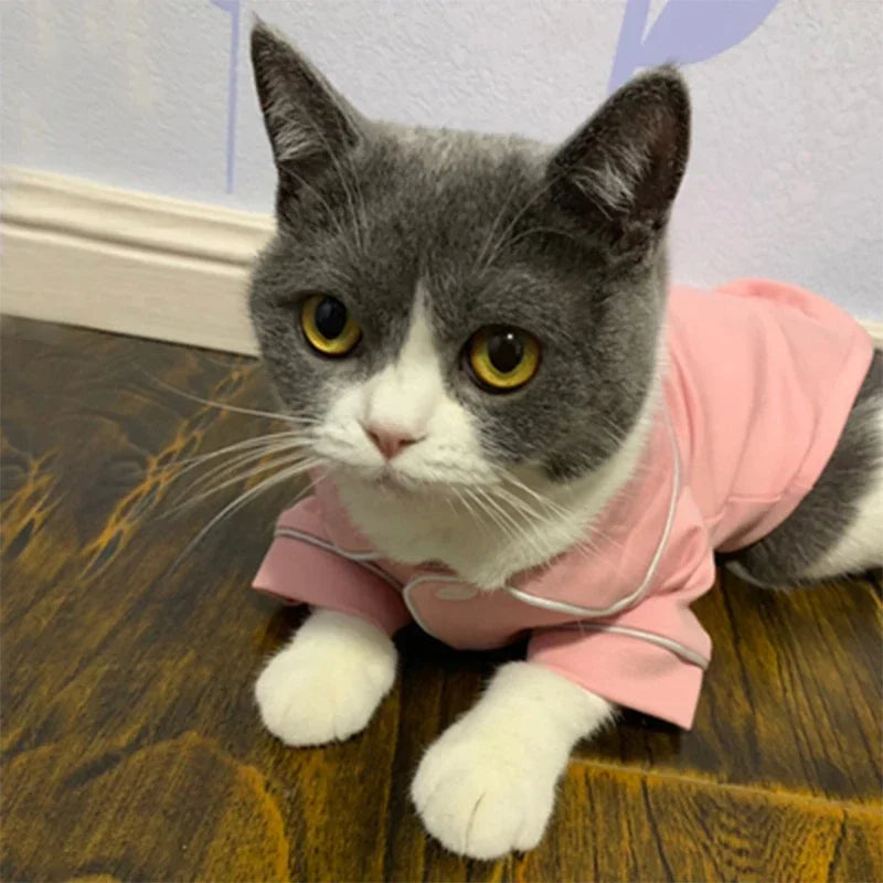 Christmas Cat Hoodie Suit - Cozy Holiday Outfit for Sphynx & Indoor Cats