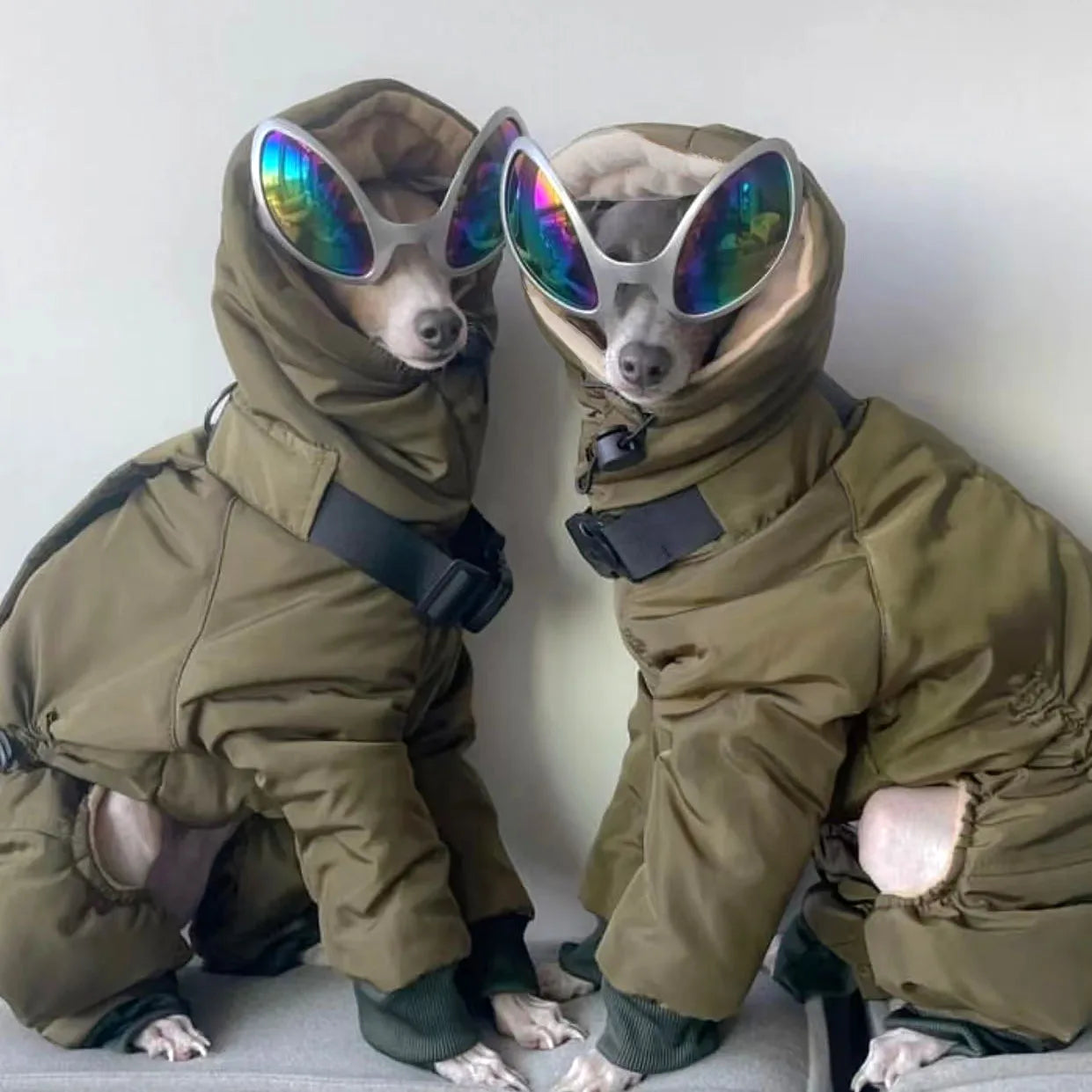 Thickened Winter Dog Jacket - Full-Neck Warm Coat for Greyhounds & Large Dogs
