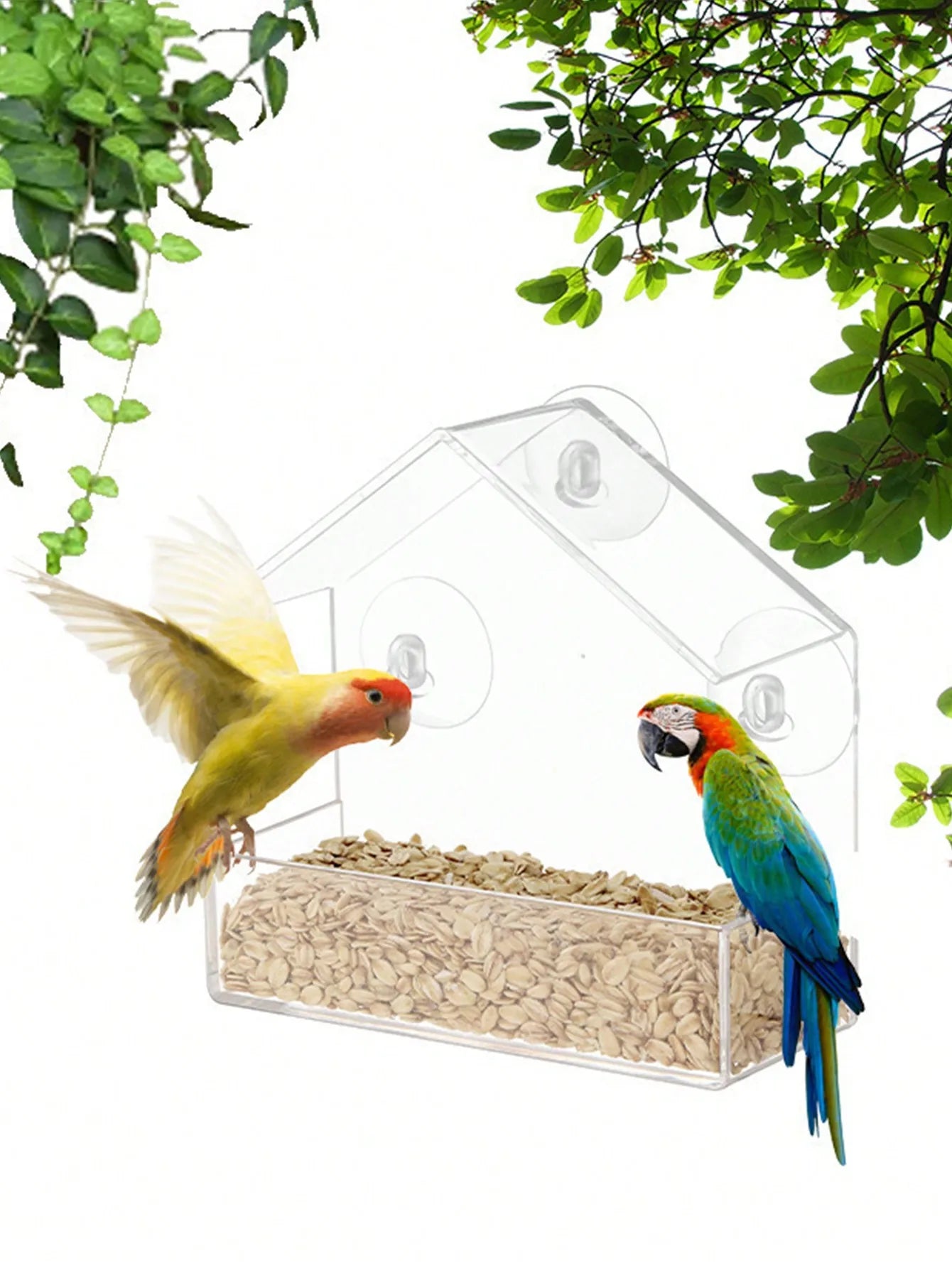 Clear Window Bird Feeder House - Acrylic Outdoor Hanging Feeder
