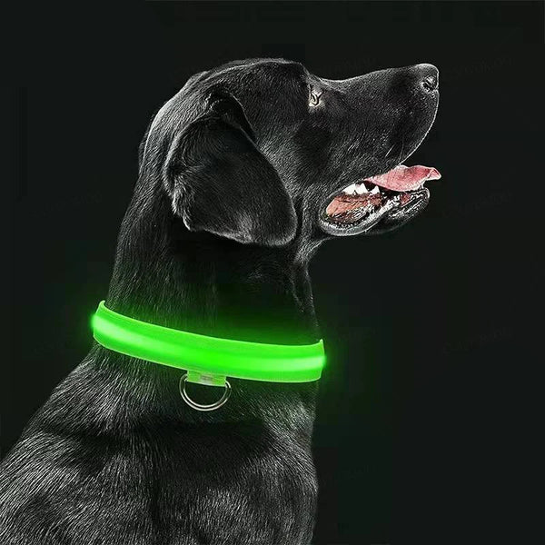 USB LED Dog Collar - Rechargeable Luminous Safety Collar for Night Walks