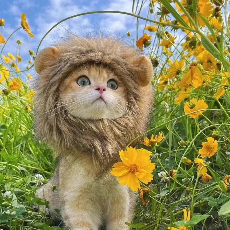 Lion Mane Cat Hat - Cute Pet Headgear for Photos, Parties & Dress-Up