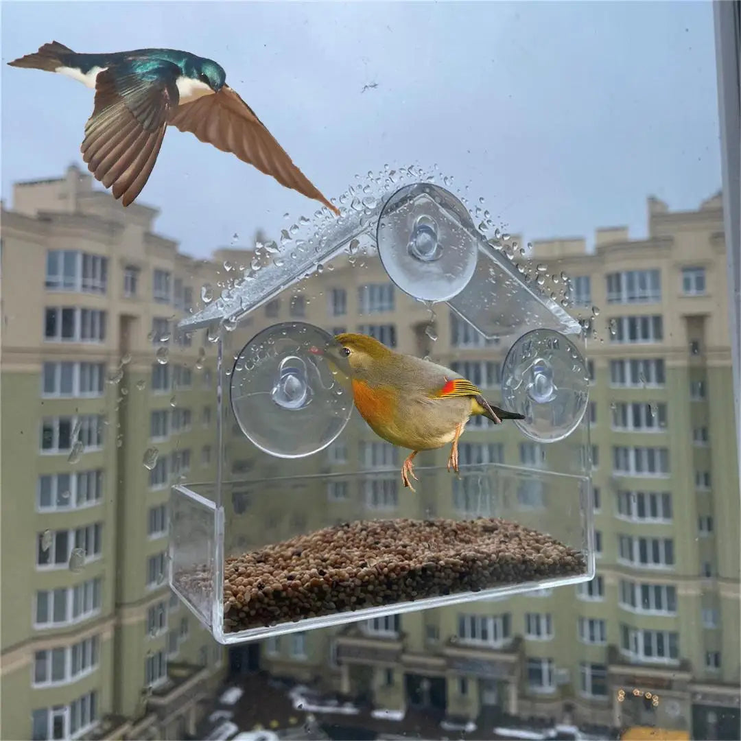 Clear Window Bird Feeder - Acrylic Hanging Feeder with Suction Cups