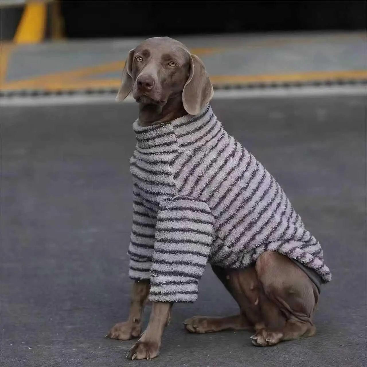 Striped Turtleneck Dog Sweater - Fleece Pullover for Medium & Large Dogs