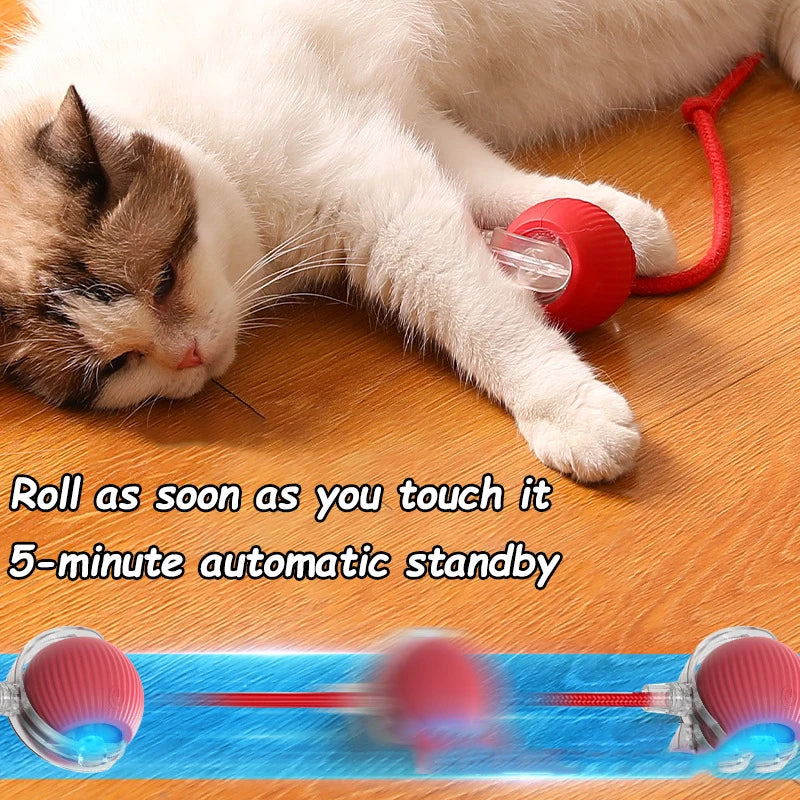 Rechargeable Rolling Cat Ball Toy - Faux Tail Interactive Teaser for Cats